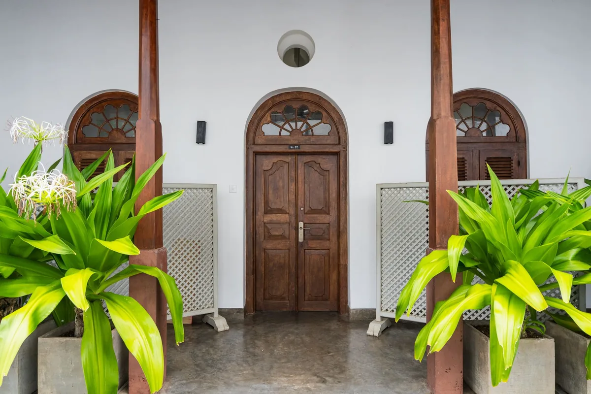 A wooden double door under a covered entry with a large leafy plant in a square planter on each side