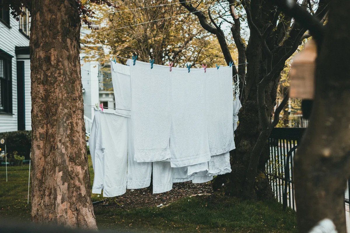 White laundry drying on a clothesline between trees in a garden