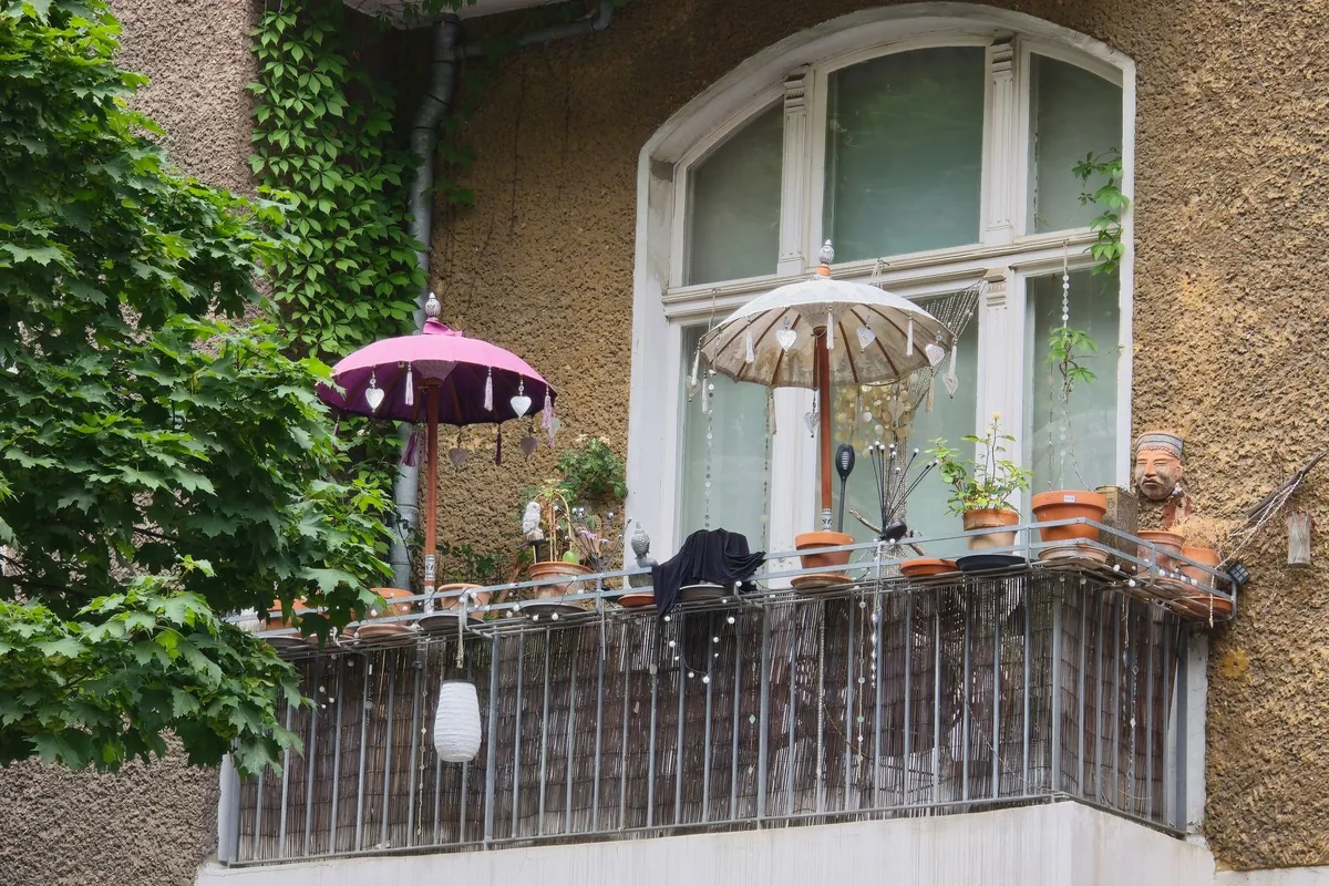 A balcony with two small parasols, a reed screen along the railing, terracotta pots and climbing vines on the wall